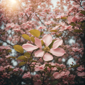 hanamizuki_feat.hitotoyo_by_coo